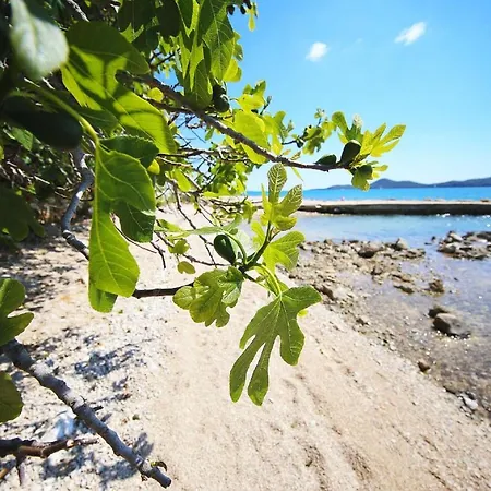 Mobile Kalcit Tatil Evi Biograd Na Moru