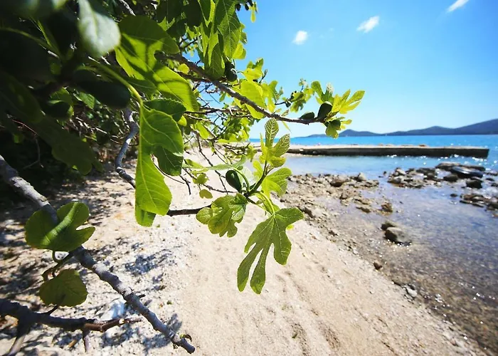 Mobile Kalcit Vakantiehuis Biograd Na Moru